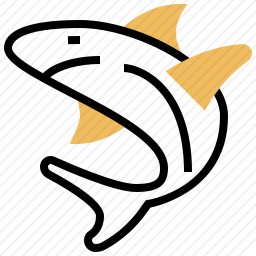 鲨鱼