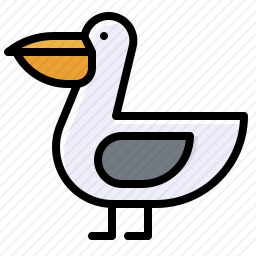 鹈鹕