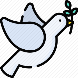 鸽子