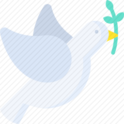 鸽子