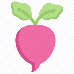 <em>甜菜</em>