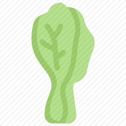 <em>白菜</em>