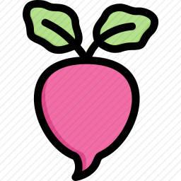 <em>甜菜</em>