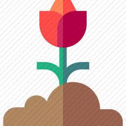 <em>花</em>