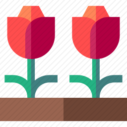 <em>花</em>