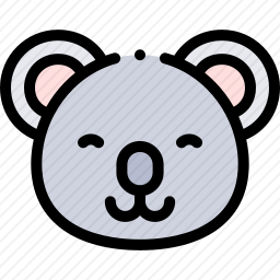 <em>考拉</em>