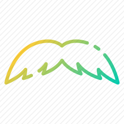<em>小胡子</em>