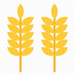 <em>小麦</em>