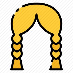 <em>辫子</em>