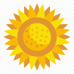 <em>向日葵</em>