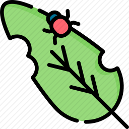 昆虫