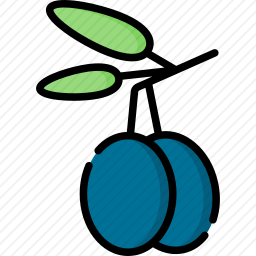<em>橄榄</em>