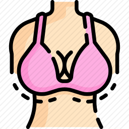 乳房