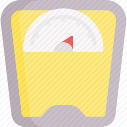 <em>体重秤</em>