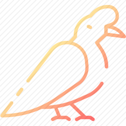 鸟