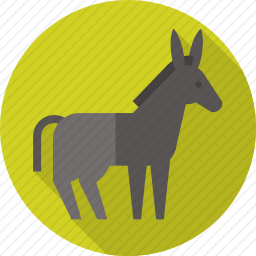 驴
