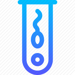 <em>体外受精</em>
