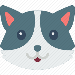 <em>猫</em>