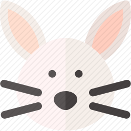 兔子