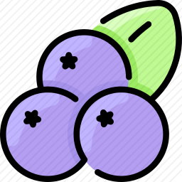 <em>蓝莓</em>