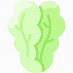 白菜