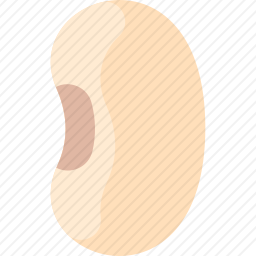 <em>豆</em>