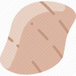 蔬菜