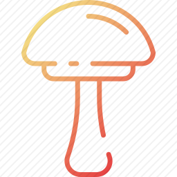 蘑菇