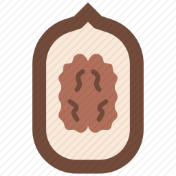核桃