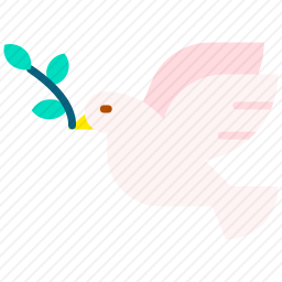 鸽子