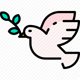 鸽子