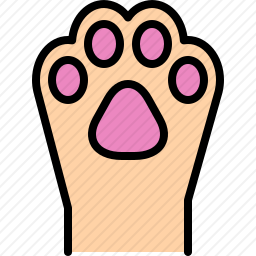 <em>猫爪</em>