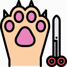 <em>猫爪</em>