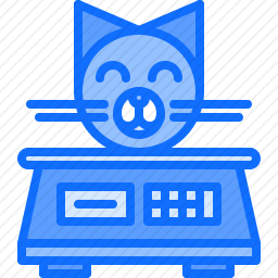 猫咪称重