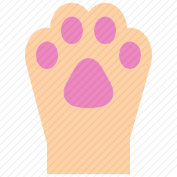 猫爪