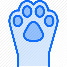 <em>猫爪</em>
