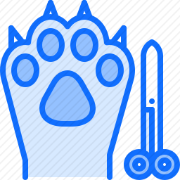 <em>猫爪</em>