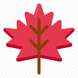 <em>枫叶</em>