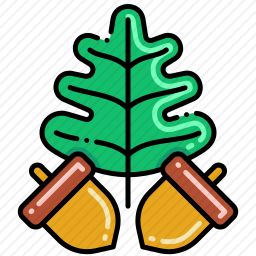 <em>橡子</em>