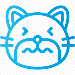 猫咪