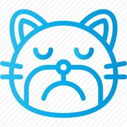 猫咪