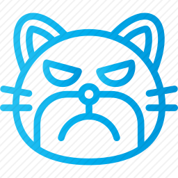 猫咪