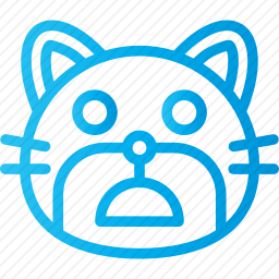 猫咪