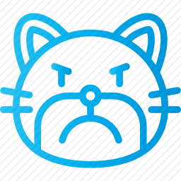 猫咪