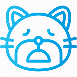 猫咪