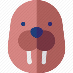 海象