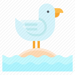 鸟