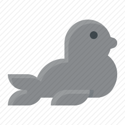海豹