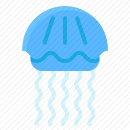 水母