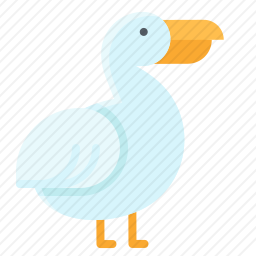 鸟